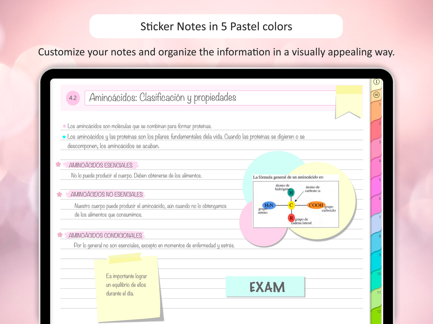 Digital Stickers Notes
